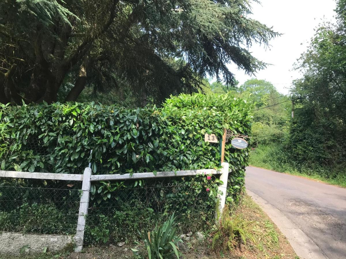 Les Chaumieres Du Pays D'Auge Bed & Breakfast Le Breuil-en-Auge Exterior foto