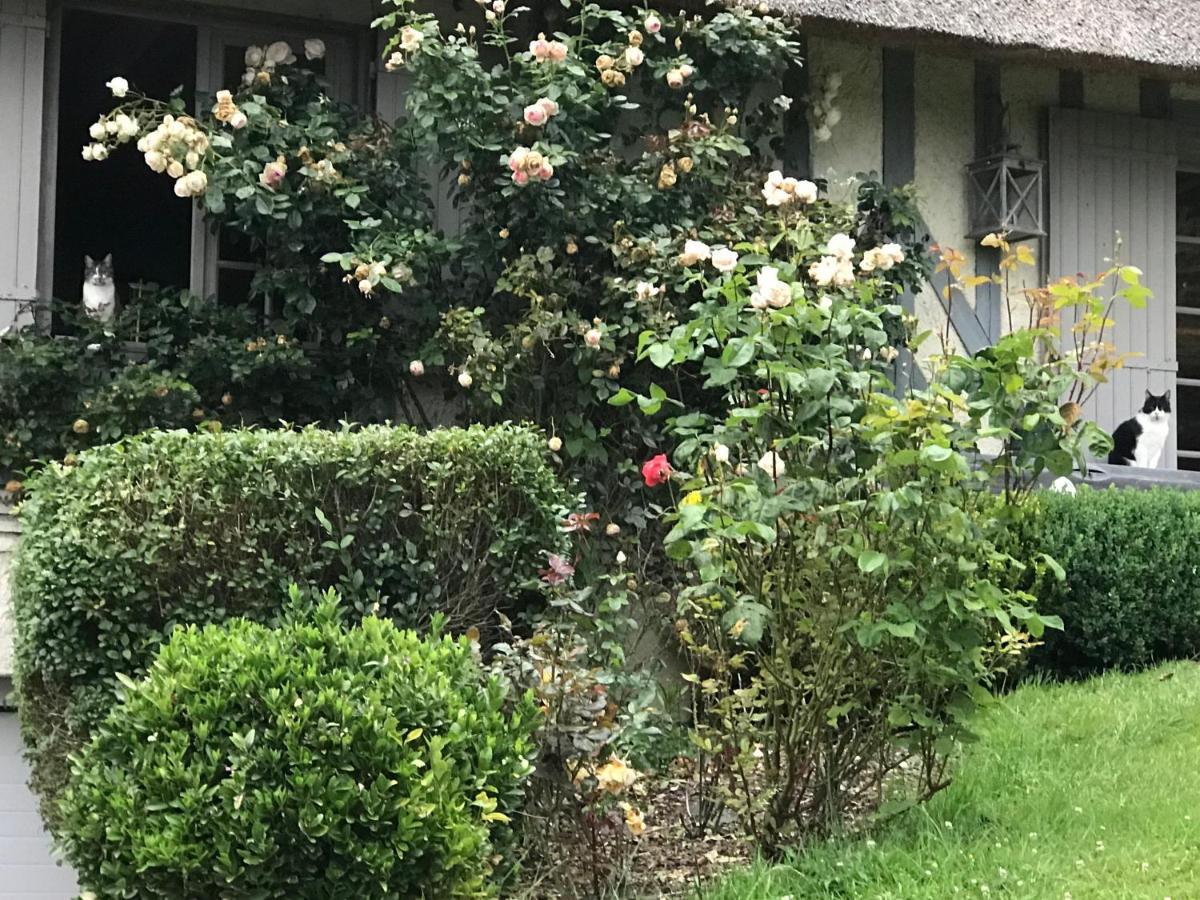 Les Chaumieres Du Pays D'Auge Bed & Breakfast Le Breuil-en-Auge Exterior foto